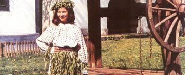 Young paparuda.