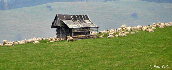  a traditional sheepfold in the mountains