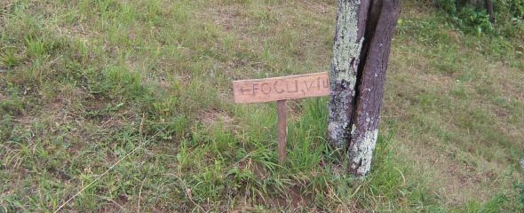 Sign to Focul Viu.